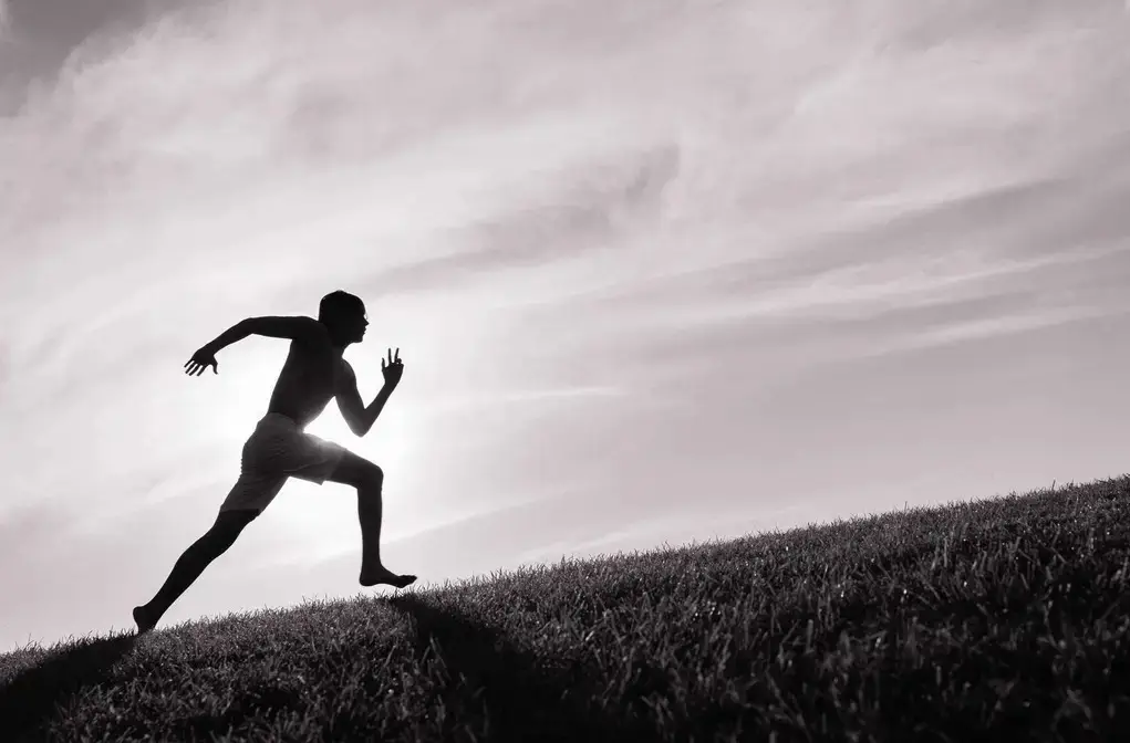 The Surge of Outdoor Fitness: How Nature Is Redefining Modern Workouts