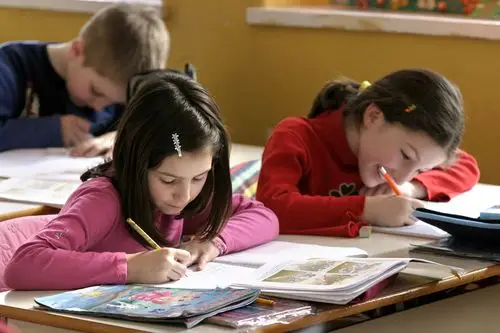 Beyond the Classroom Walls: How Experiential Learning, Micro-Credentials, and the Democratization of